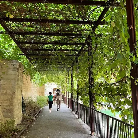 Agreable T2 A 5 Min Du Palais Des Papes Avec Wifi Terrasse Partagee Avignon